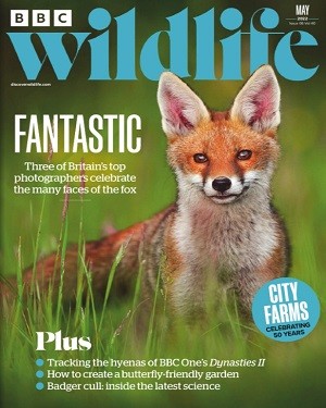 BBC Wildlife №6 May 2022