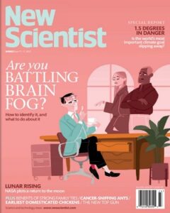 New Scientist №3390 June 2022