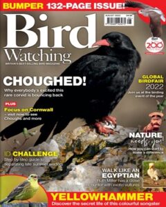 Bird Watching UK №8 August 2022