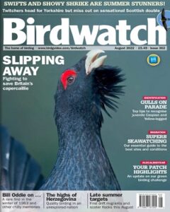 Birdwatch UK №362 August 2022