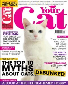 Your Cat August 2022