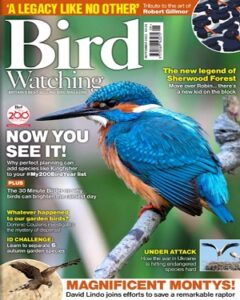 Bird Watching UK September 2022