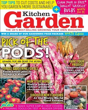 Kitchen Garden October 2022