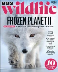 BBC Wildlife October 2022