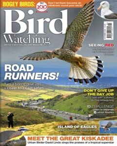 Bird Watching UK October 2022