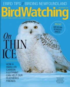 Bird Watching USA November-December 2022