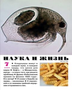 Наука и жизнь №7 Июль 2024